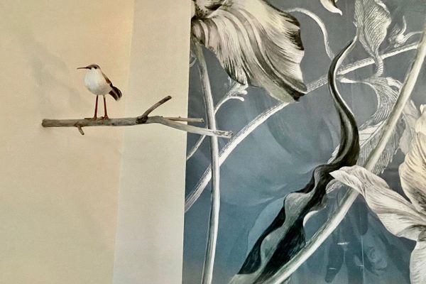 "Moby Dick",Ra/03 Rantum - 