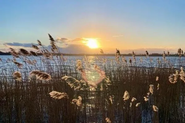   Ferienhaus Wåterleven