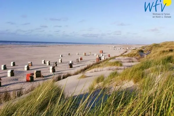 Strand Haus Inselparadies Ferienwohnung Falshöft