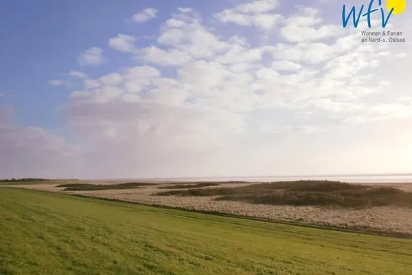 Landschaft Haus Inselparadies Ferienwohnung Falshöft