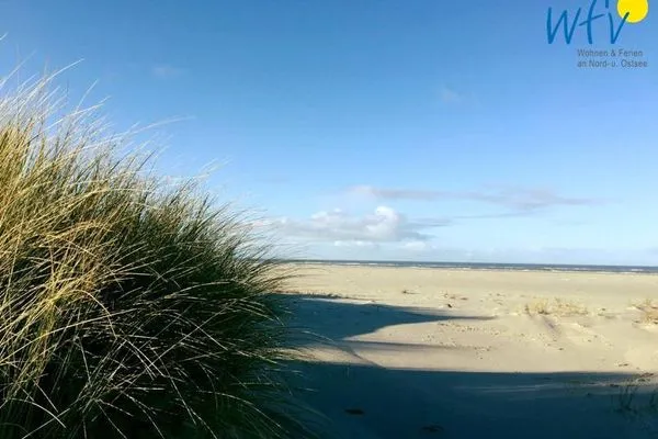 Strand Haus Inselparadies Ferienwohnung Falshöft