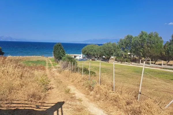 the road to the beach  Vivian