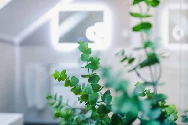 Badezimmer  Ferienwohnung Auszeit