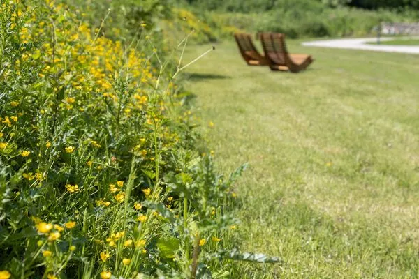 Gartenblick  Reethus 22 Loft 6