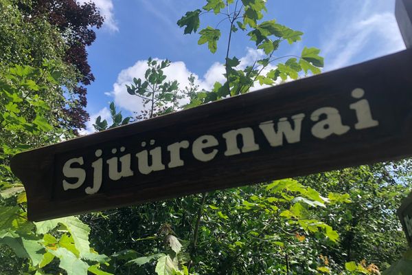 Friesenhof Whg. 16 Amrum - 