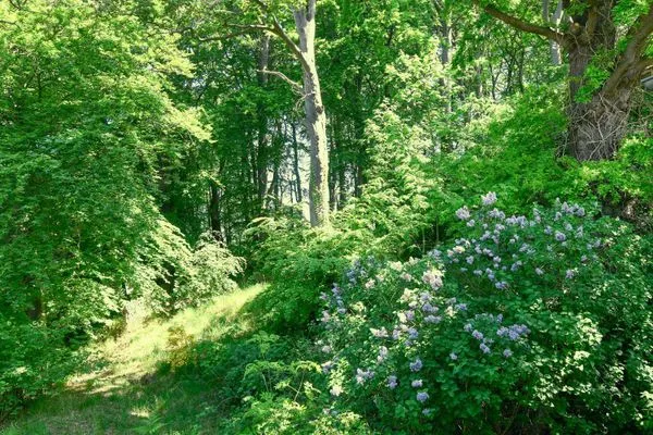 Balkon Residenz Binz Ferienwohnung 14