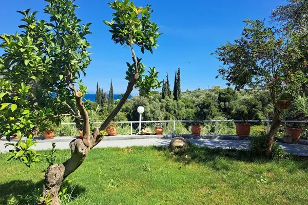 Gartenblick  Marema 2