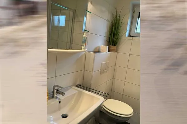 Badezimmer  Schwertmuschel