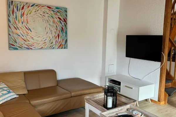 Wohnzimmer  Schwertmuschel