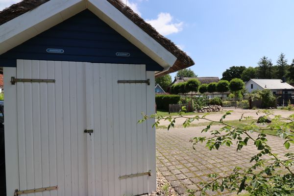  Am Boddenweg - Windsbraut Born auf dem Darß - 