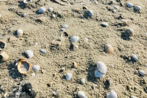 Strand Strand Residenz Ferienwohnung "Strandruh"