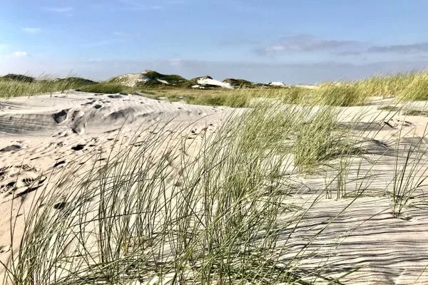 Strand Strand Residenz Ferienwohnung "Strandruh"