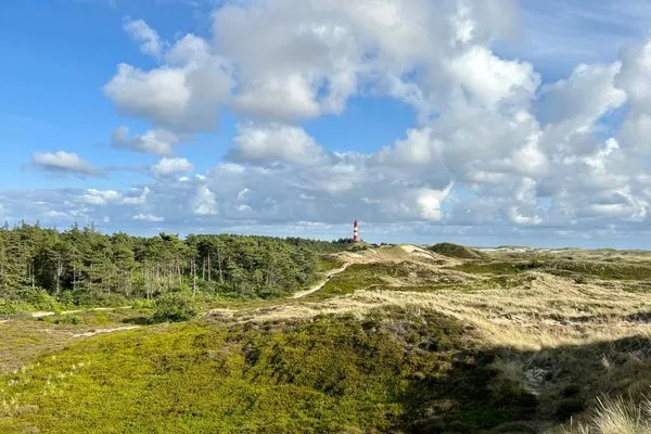 Landschaft Strand Residenz Ferienwohnung "Strandruh"