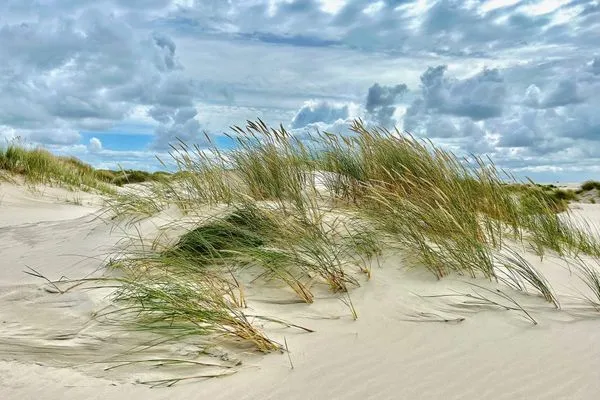 Strand Strand Residenz Ferienwohnung "Strandruh"