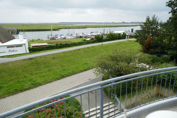 Boddenblick Wohnung 29 Zingst - Landschaft