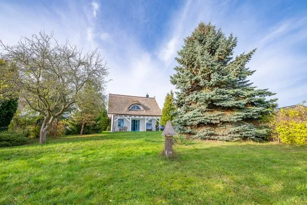 Gartenblick  Calypso