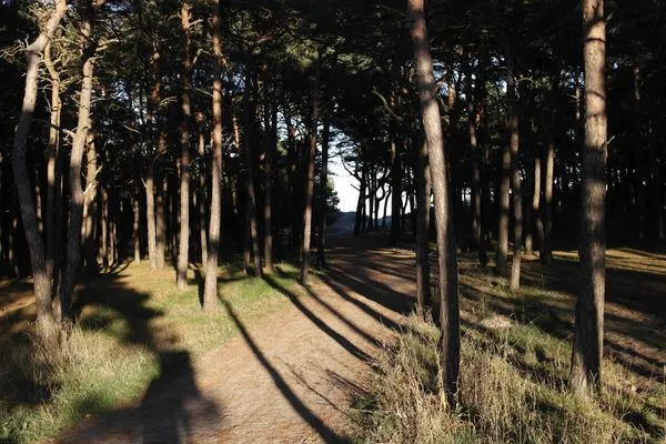 Landschaft  Haus Alessia