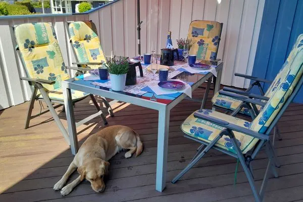   Ferienhaus Johns Holthuus