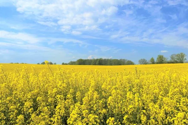 Landschaft Panoramic Auszeit mit Meerblick