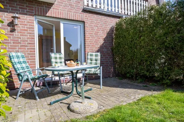 Terrasse  Abendsegler