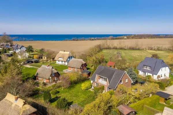 Nachbarschaft  Abendsegler