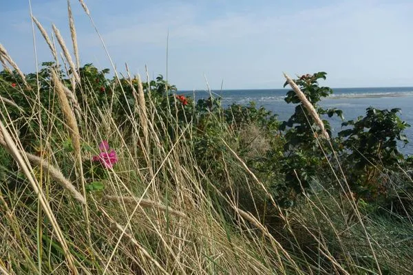 Meerblick  Ferienhaus *Traumblick*