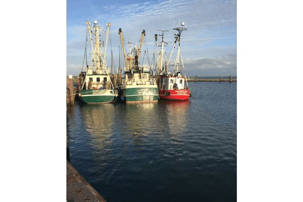  Ferienhaus Meersleuchten Hooksiel - Landschaft