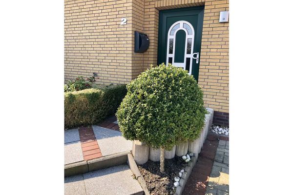  Ferienhaus Dünenwind Carolinensiel - Hauptansicht