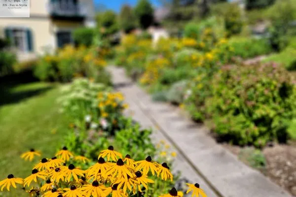 Landschaft  Nostalgie-Apartment Seeidylle by FiS - Fun in Styria