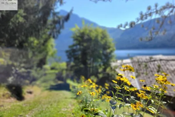 Nachbarschaft  Nostalgie-Apartment Seeidylle by FiS - Fun in Styria