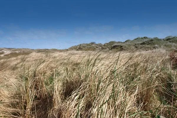   Winterstraße 17 - Topas