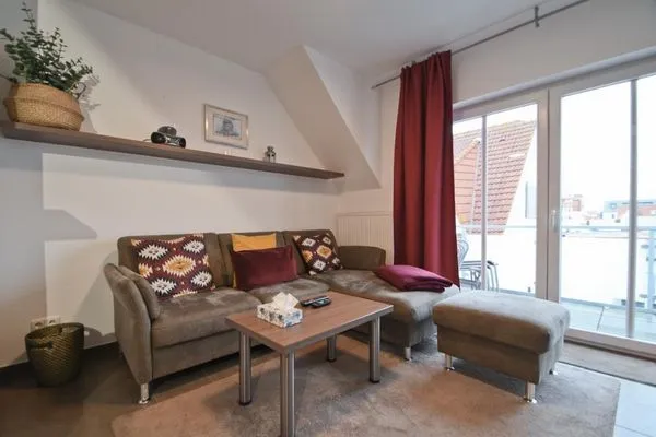   Domizil - FW 4 - Muschelsucher