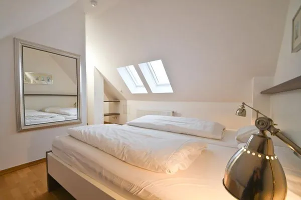   Domizil - FW 4 - Muschelsucher