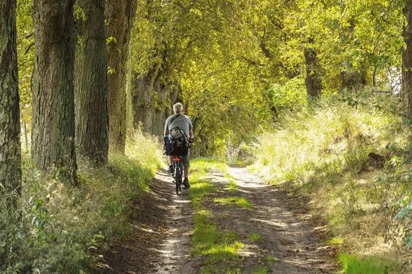 Sport / Aktivitäten  Tao-Suite