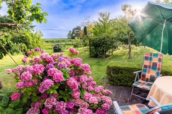  Am Bodden Krapp´s - Apartment Wieck - Gartenblick