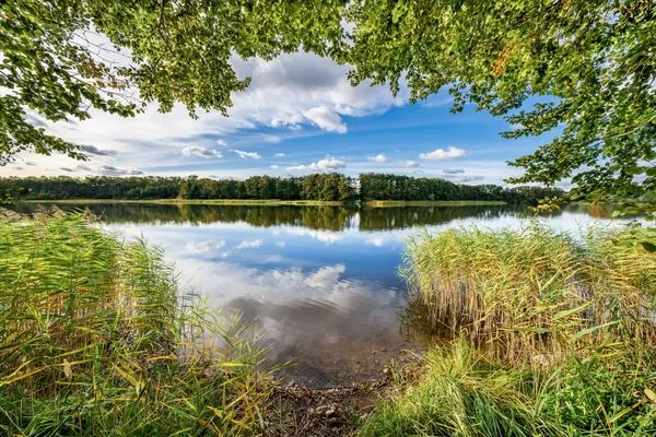 Meerblick  Waldblick