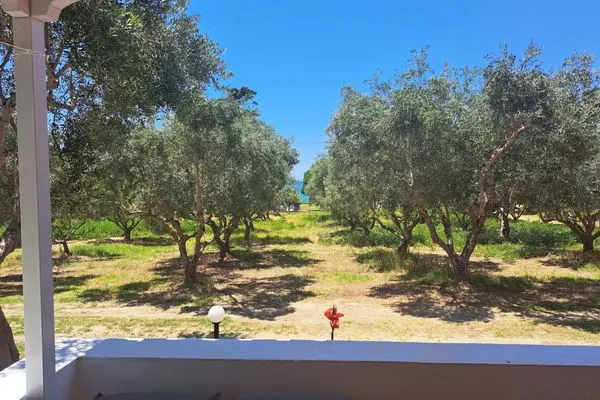 Terrace  Nikos Kastro 4