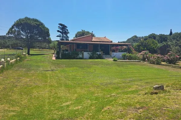 Vogelperspektive  Dionisios