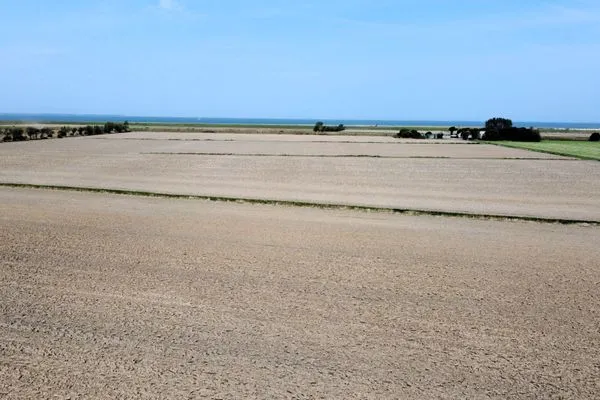 Meerblick  Küstenperle