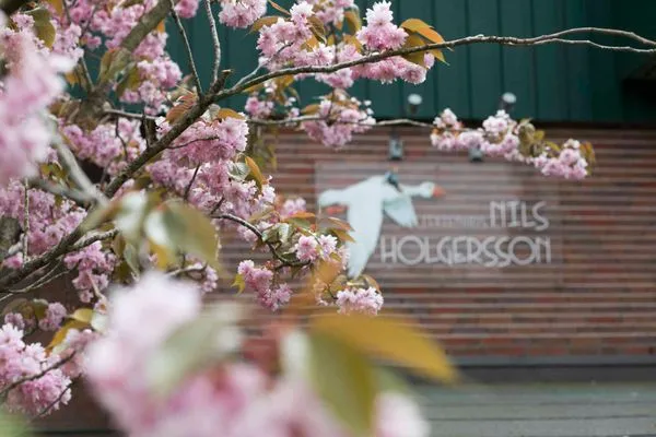   Ferienhaus Nils Holgersson - Wohnung 6