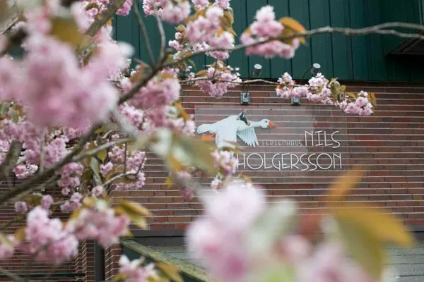 Garten/Hausansicht  Ferienhaus Nils Holgersson - Wohnung  7