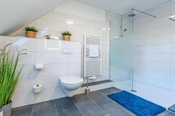 Ferienwohnung Merlin Ausguck Röbel/Müritz - Badezimmer mit Glas-Dusche  Merlin Ausguck