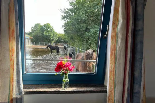 Wohnzimmer  Ferienwohnung Isi-Blick für 4 bis zu Personen - Reiterferien