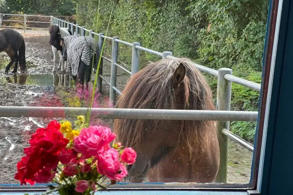 Dekoratives Detail  Ferienwohnung Isi-Blick für 4 bis zu Personen - Reiterferien