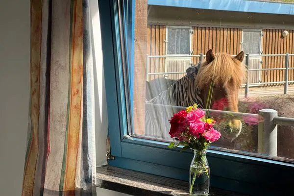 Dekoratives Detail  Ferienwohnung Isi-Blick für 4 bis zu Personen - Reiterferien