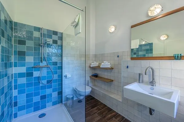 Ferienhaus Wildgans Badezimmer mit Glasdusche  Wildgans