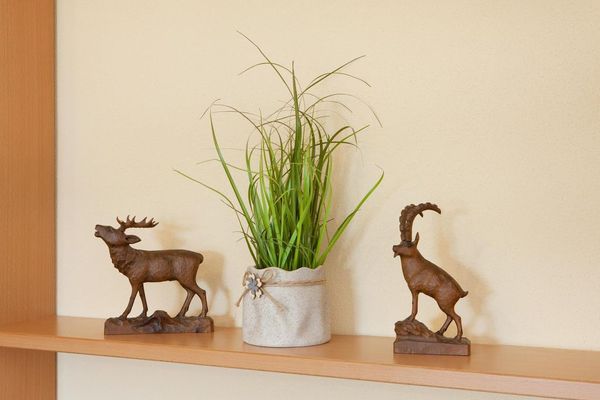  Ferienwohnung Theresia Ferienwohnungen in Rieden am Forggensee - 