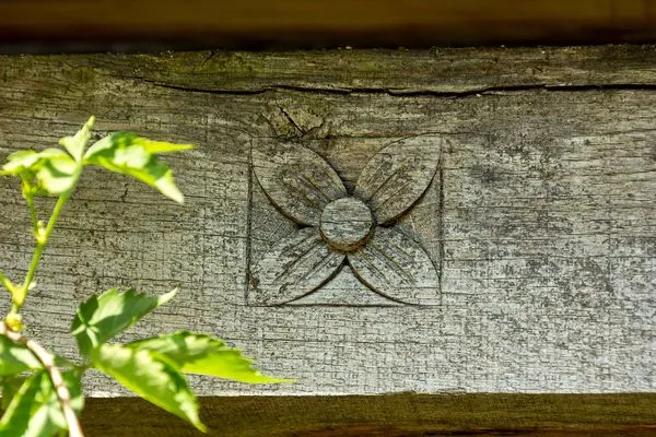 Ferienwohnung Blauregen Waren (Müritz) - historisches Speichergebäude  Blauregen