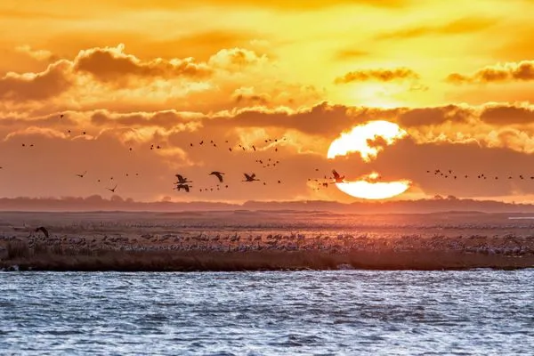 Ferienwohnung Strandgut Malchow - fliegende Kraniche über der Müritz  Strandgut
