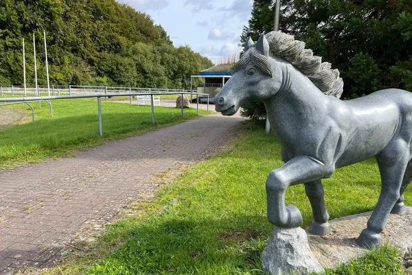 Dekoratives Detail  Urlaub auf dem Ponyhof - Ferienhaus für bis zu 9 Personen